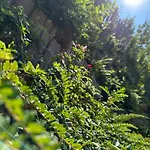 Renata Apartament Zalakaros